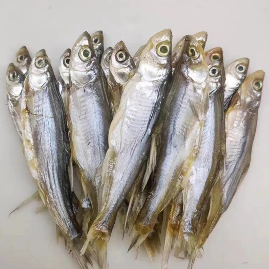 海安市白条鱼