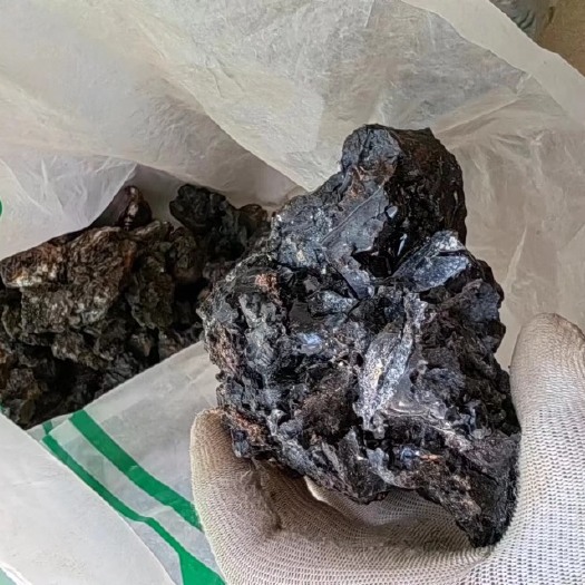 勐腊县桦褐油 桦褐化石 桦树茸
