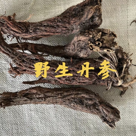 岷县丹参 甘肃紫花丹参5年以上自然y生丹参甘肃岷县高海拔产地直供