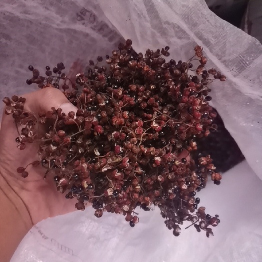 磁县精品大椒