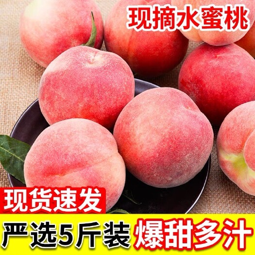 渭南水蜜桃脆甜5新鲜桃子孕妇水果红美人胭脂脆桃当季毛桃冬雪桃包邮