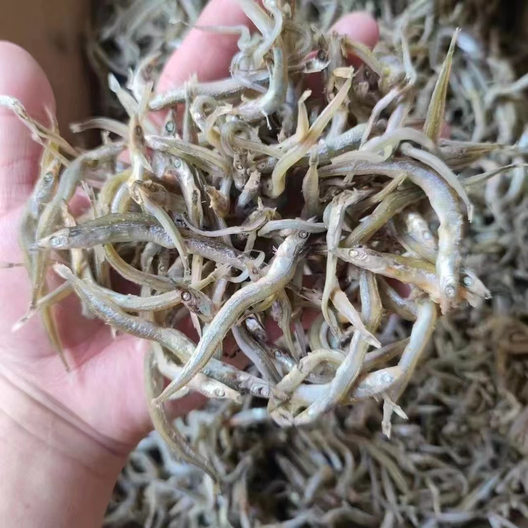 新貨小青魚干地?cái)偤Ｑ圄~干丁香魚干新鮮小銀魚干魚仔面條海鮮展會(huì)