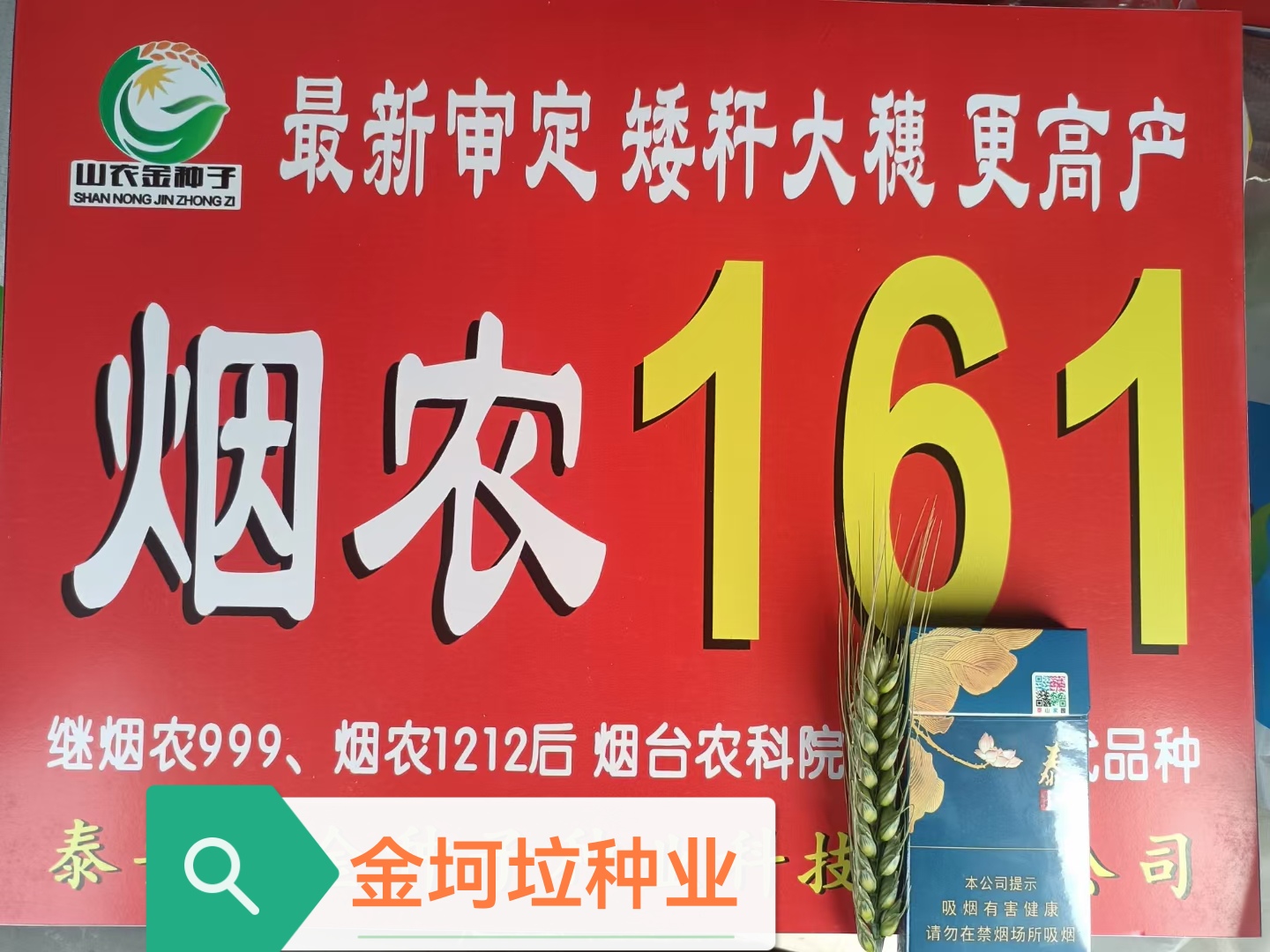 烟农161小麦种子系济麦22与烟农1212杂交升级品种