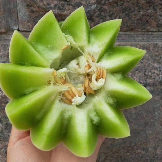 武汉胜玉超甜一号香瓜种子