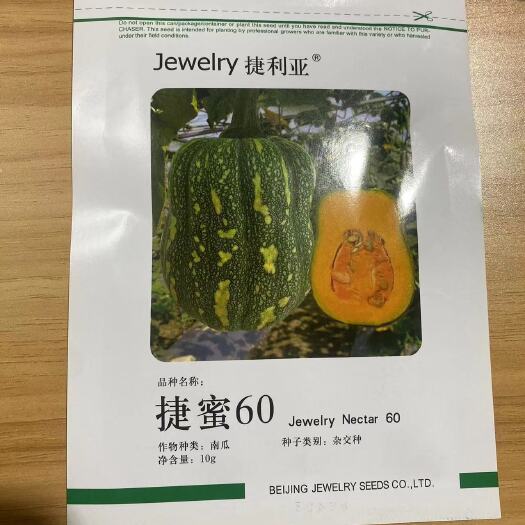 捷蜜60天南瓜种子