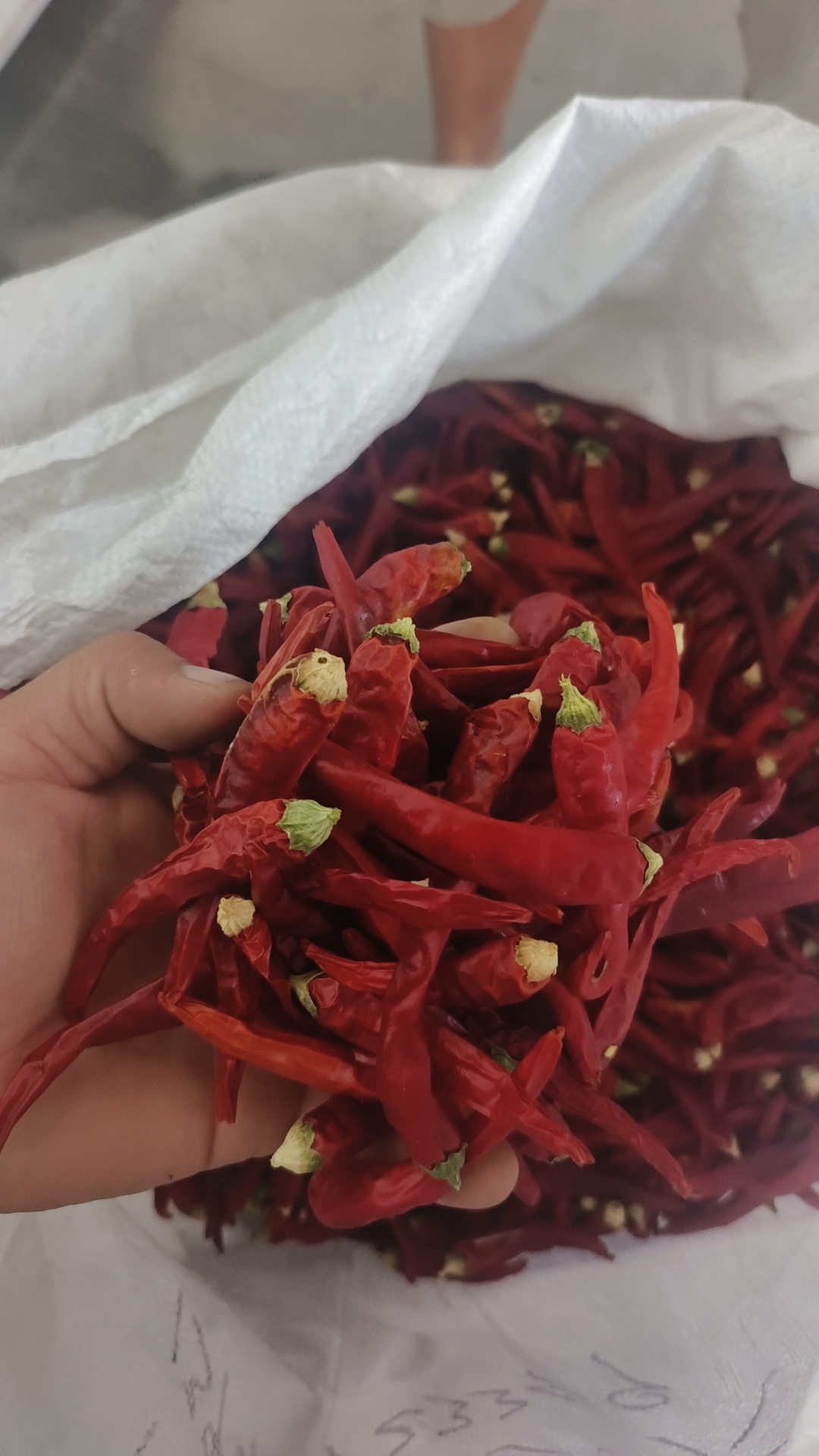 2023河南高辣香辣829精品新货大量批发代收