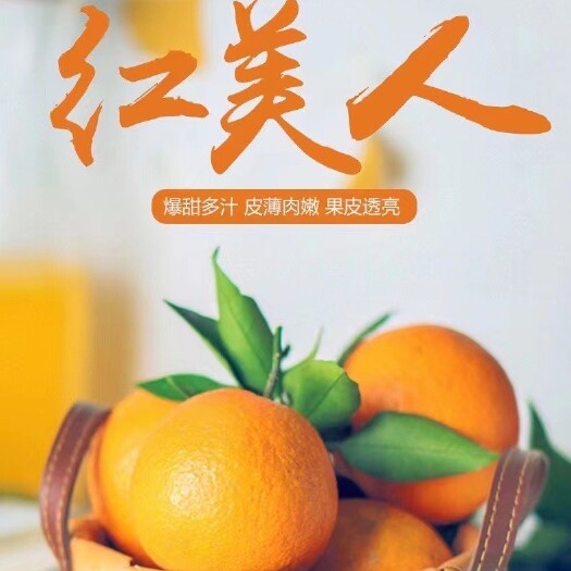 象山县宁波象山高塘红美人