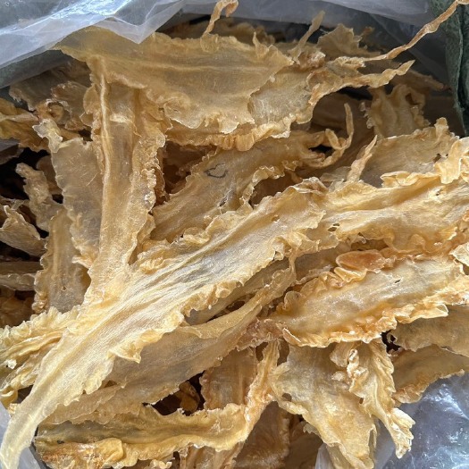 鳕鱼胶 海鱼鳔 雪肚鱼鳔深海鱼泡 酒店食材35头500g1斤