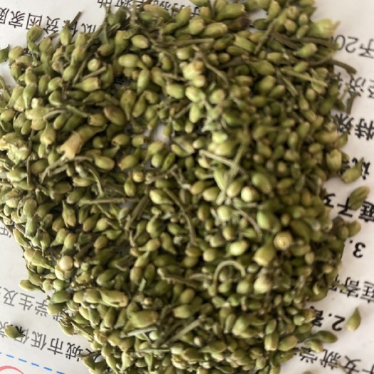 亳州出售槐米槐豆