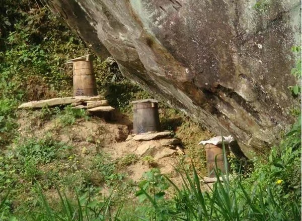 三门县正宗土蜂蜜