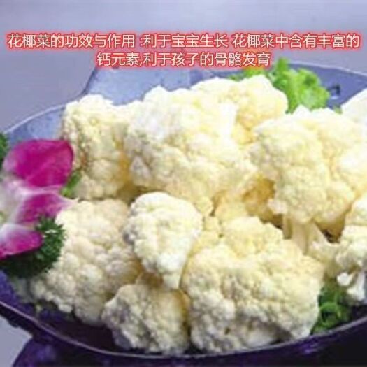 雪丰85天菜花种子