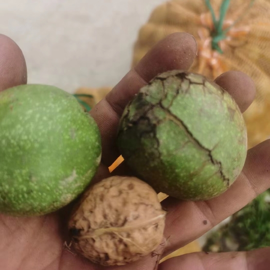 漾濞县青皮核桃，香味足，口感好