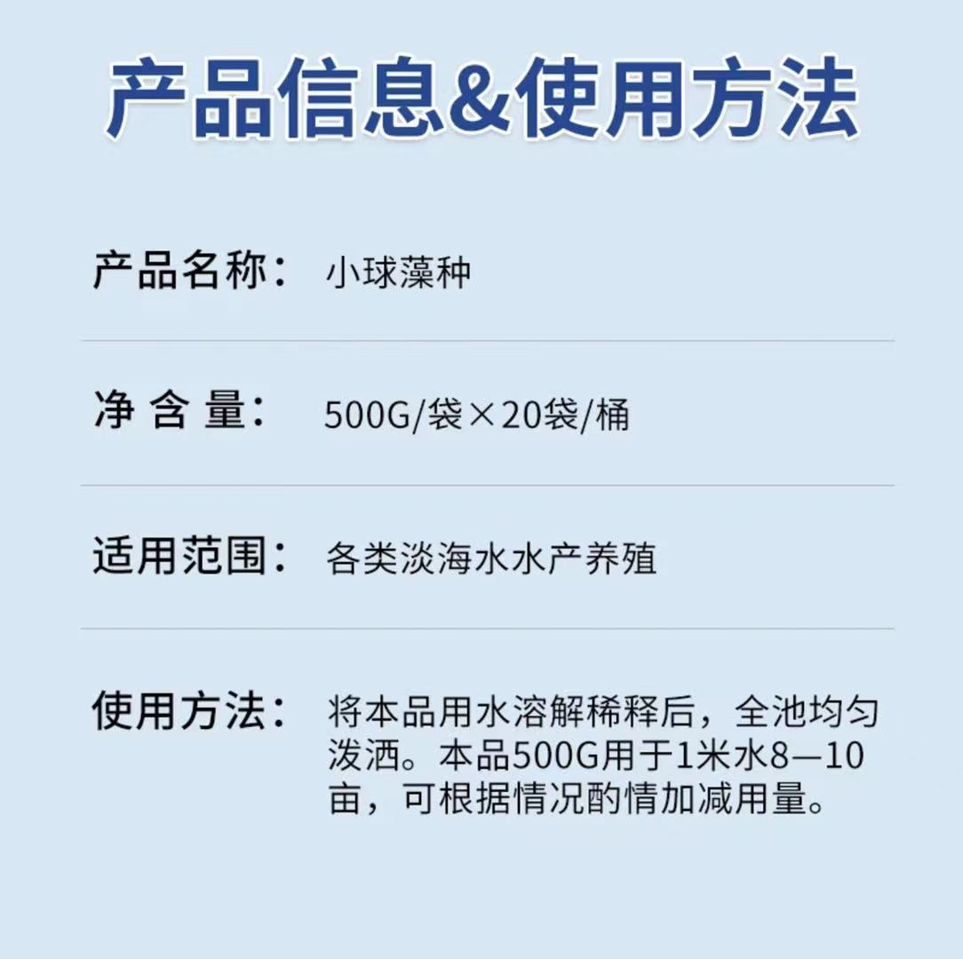 高效小球藻种  浓缩藻种肥水绿藻水产养殖卵囊藻肥水培藻增氧多