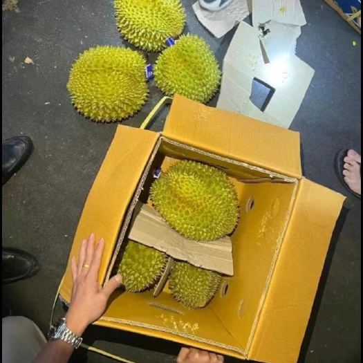 海口榴莲批发