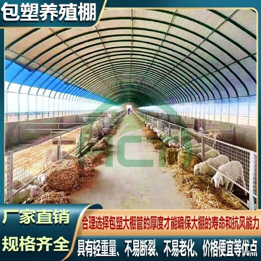 天津养殖棚全套设备畜牧业羊槽食槽养鸡专用养殖棚种植棚