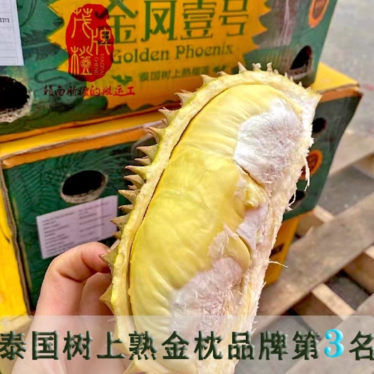 广州农场金凤壹号榴莲金枕一号干包黄肉泰国树上自然熟