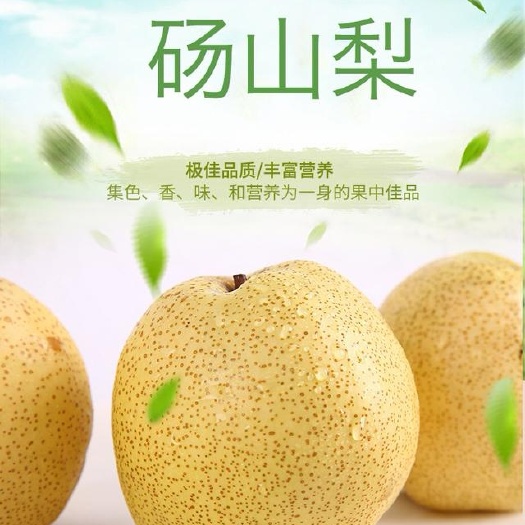 砀山县砀山梨大量上市了，欢迎新老客户联系