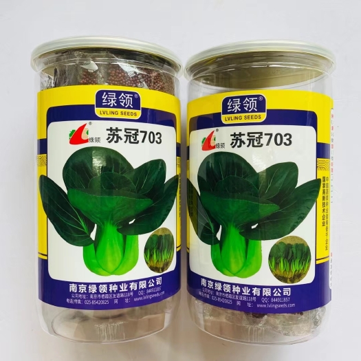 沭阳县青菜种子绿领苏冠703苏州青种子叶色墨绿且亮叶柄肥厚油青菜种