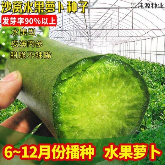 长沙冰糖水果萝卜种子生吃脆甜农家蔬菜种四季播种阳台盆栽绿萝卜种籽