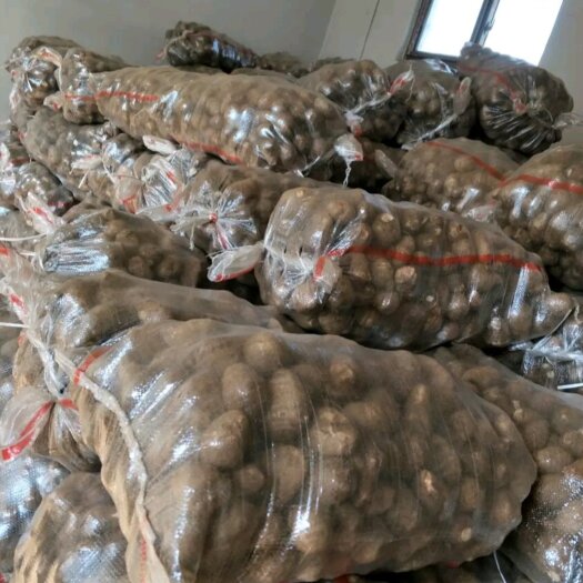 莒县推荐 山东芋头 大球 中球 小球 大中小通货 二母 货源充足