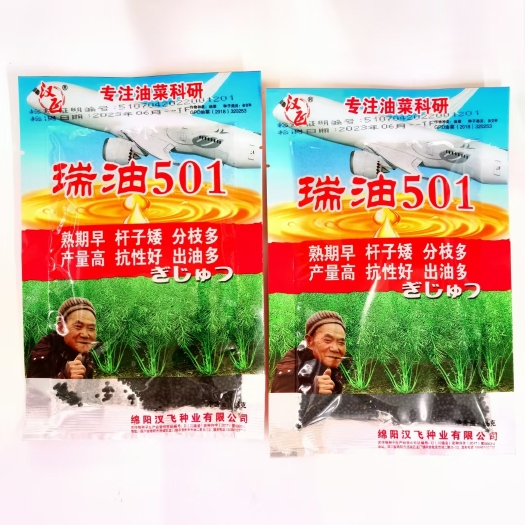 宿迁油菜种子瑞油501油菜种子