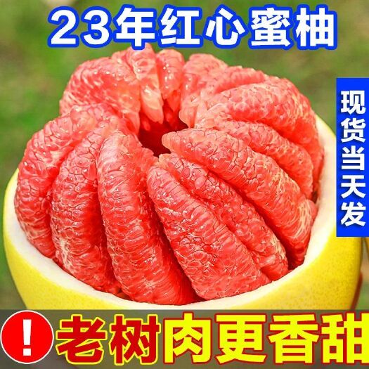上林县红心蜜柚当季新鲜水果整箱批发