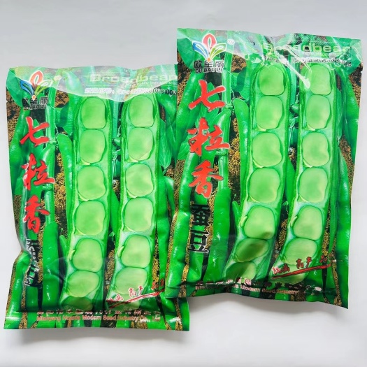 蚕豆种子七粒香蚕豆种子