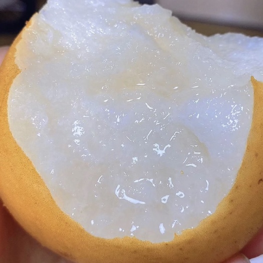 莱阳市莱阳秋月梨当季新鲜水果超甜梨子10斤现摘薄皮金秋梨一整礼盒包