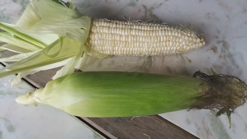 东辽县甜糯玉米