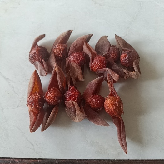 洱源县蝴蝶梅 干乌梅