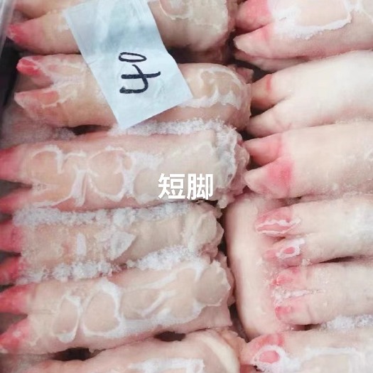 沂南县短脚10公斤16-17个装带筋