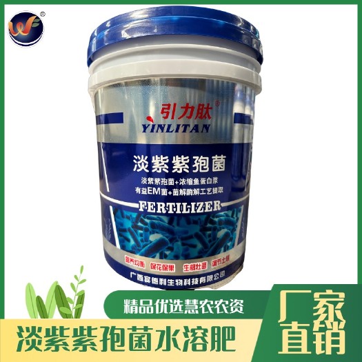 南宁淡紫紫孢菌 浓缩鱼蛋白浆 生根促根