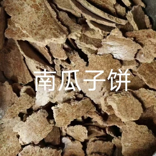石家庄南瓜子饼
