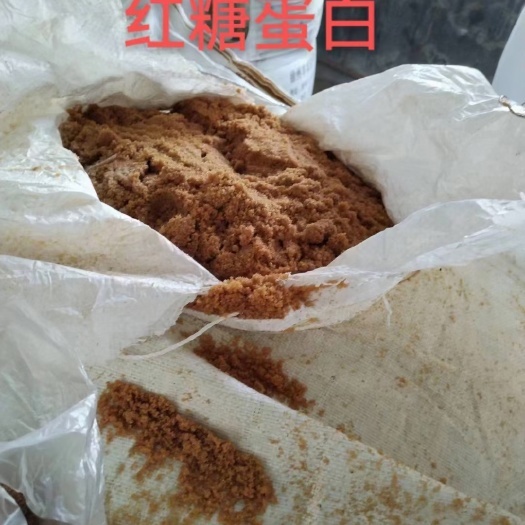 石家庄红糖蛋白