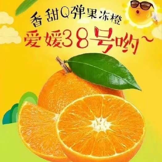 资中县爱媛果冻橙一件代发代收市场发货