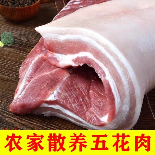 国产五花肉新鲜现杀猪肉鲜肉批发散养土猪肉带皮生猪肉整箱批发