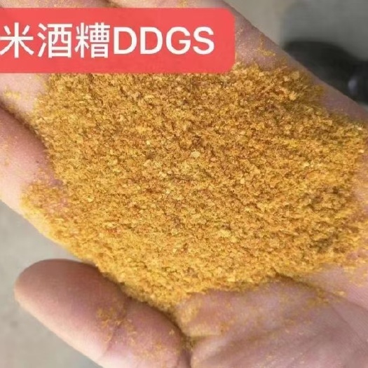 石家庄玉米酒糟DDGS
