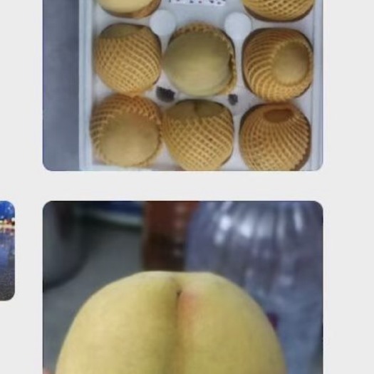 安乡县锦绣黄桃