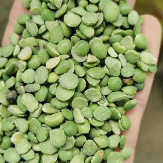 西安黑豆绿仁豆瓣！黄豆豆瓣