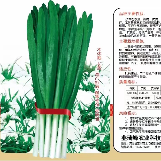 郑州蔬菜种子不休眠韭菜种子
