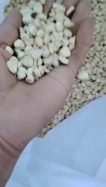 静乐县糯玉米干粒，干棒