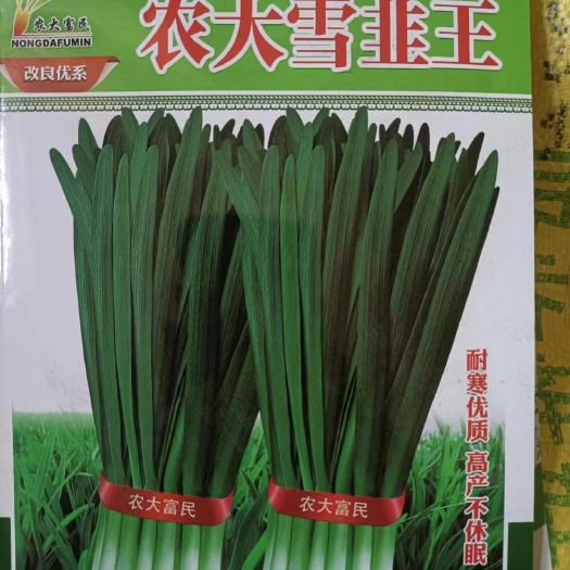 郑州蔬菜种子不休眠韭菜种子