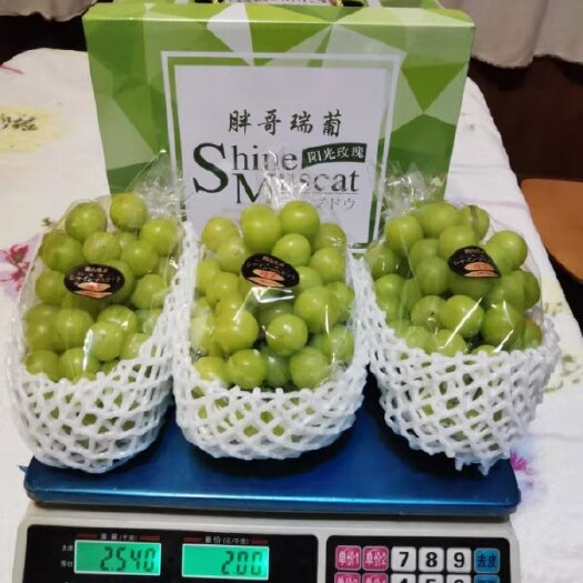 滁州自产阳光玫瑰，单果克重大，糖度高，品质保证，数量有限