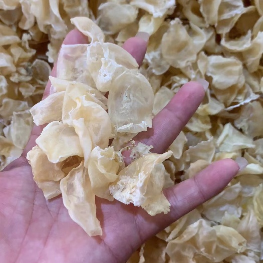 昆明缅甸鸡蛋鱼胶 小米胶 大货批发 价格实惠 欢迎长期合作