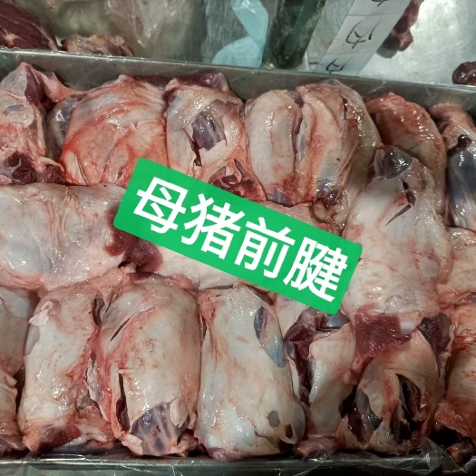 猪肉类  猪副产品 母猪前腱母猪后腱母猪内腱母猪副腱