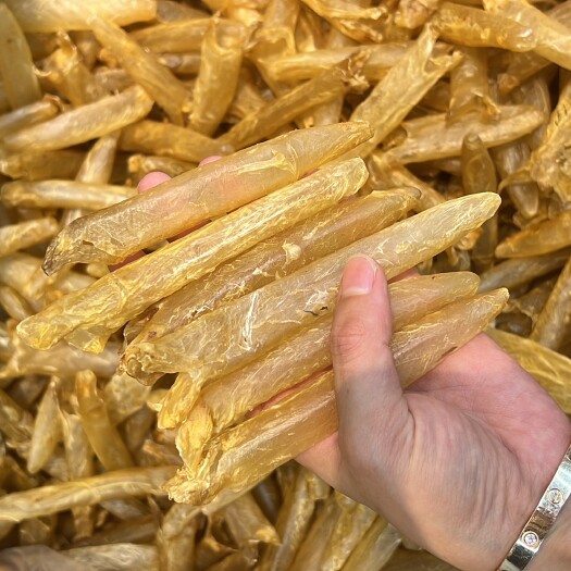 深圳150头黄花筒