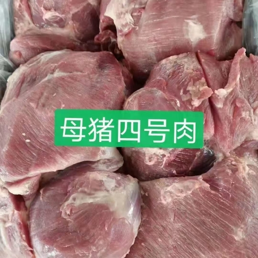 母猪4号肉板
