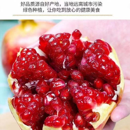 会理市会理突尼斯软籽石榴