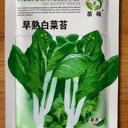 祁东县白菜苔种子白菜心白菜苔甜菜苔蔬菜种子秋季菜种子