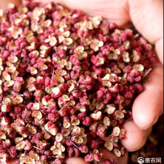 临汾笨花椒